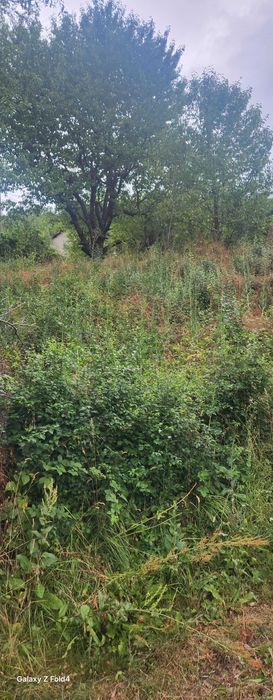 Продава се Парцел в Своге - 400 кв.м за 29 €/кв.м - Снимка #2