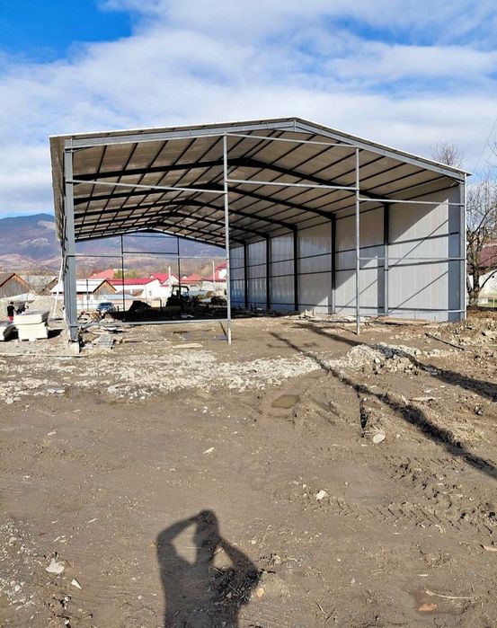 Vand hala metalica 9x30x3  Accept. Variante auto