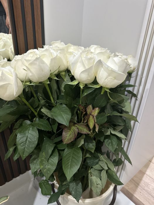 Продается шикарные белые розы длиной 80см