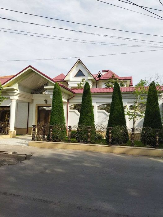 Обрезка деревьев, винограда, стрижка елок и другие виды работ