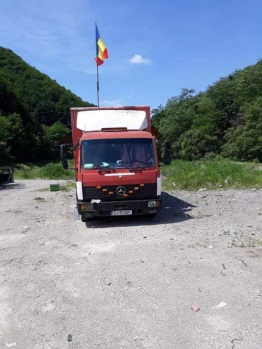 Camion apicol stupii