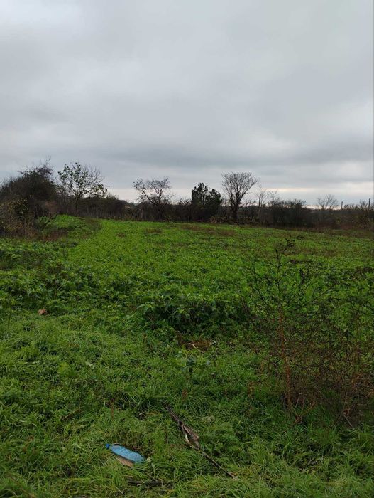 Продава се Къща в с. Белгун, Област Добрич - 80 кв.м за 70 €/кв.м - Снимка #4