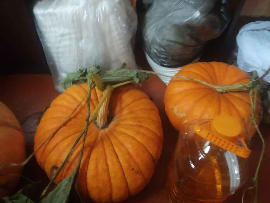 Продам тыкву с огорода