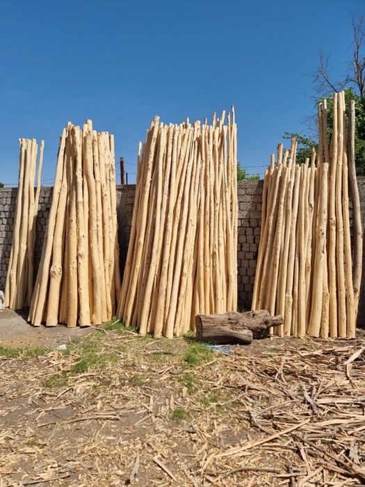 Strapila terak Tosinlar bor dastavka xizmatiham bor