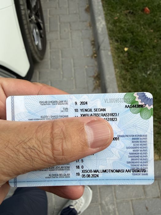 Treker Premiere плюс 2024