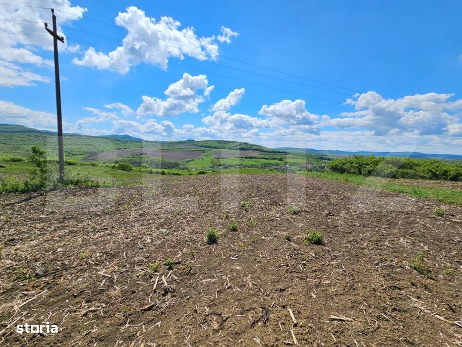 Teren Agricol, 5.800 mp, in Blajenii de Jos