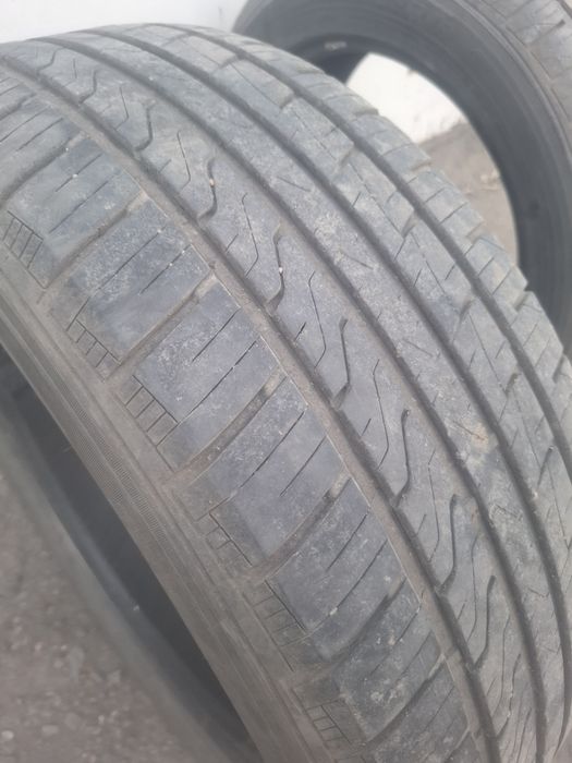 Авто шины Rodaxs