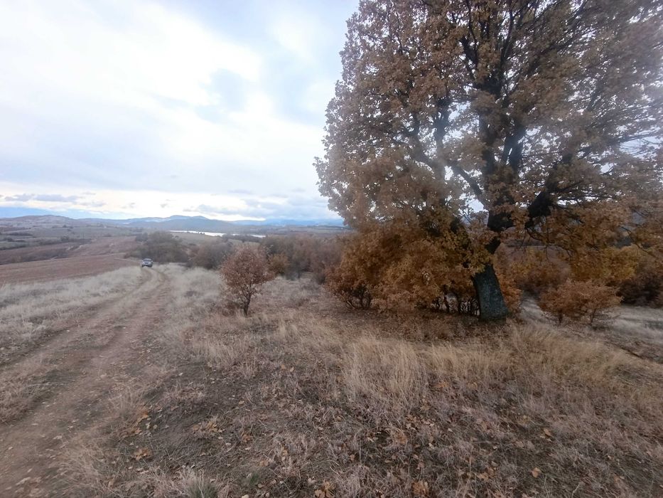 Продава се Земеделски имот в Благоевград, Еленово 2 -  кв.м за 2805 €/дка - Снимка #1