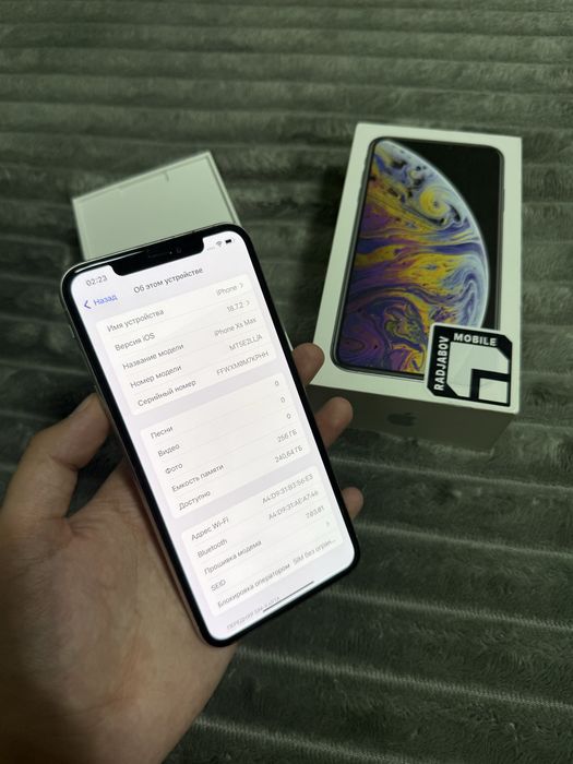 iPhone XS Max 256gb 100% LL
