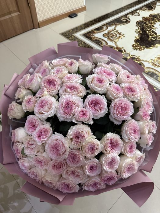 Цветы розы пионовидные