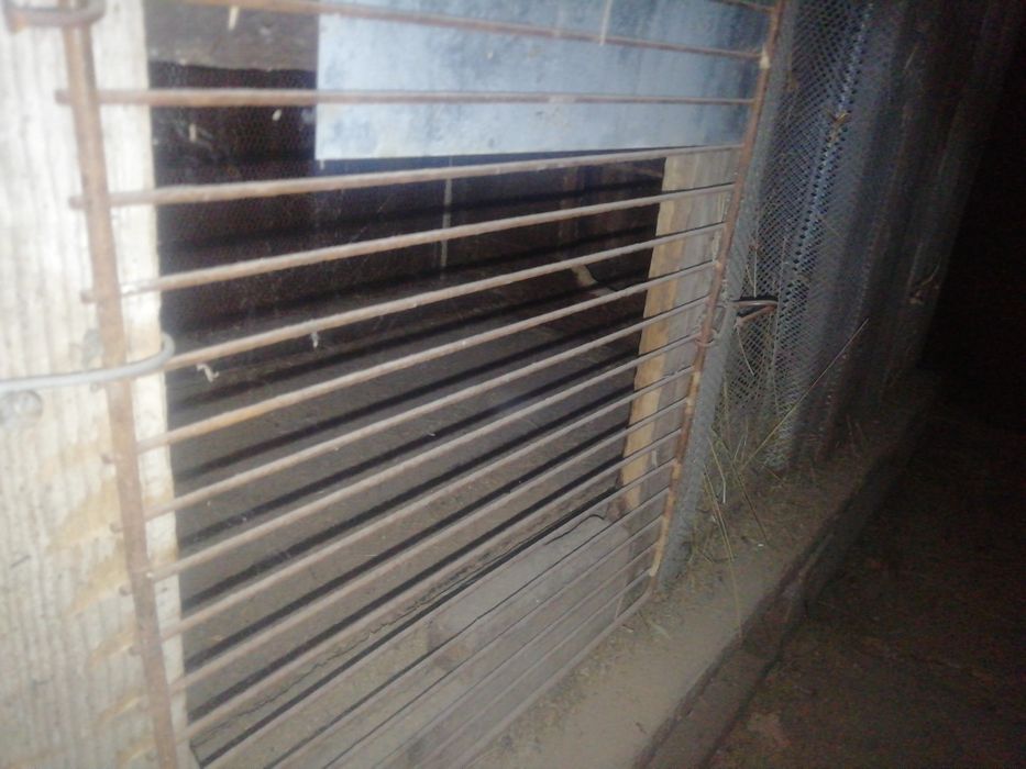 Продам клетки для кроликов