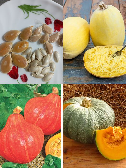 Семена перец острый