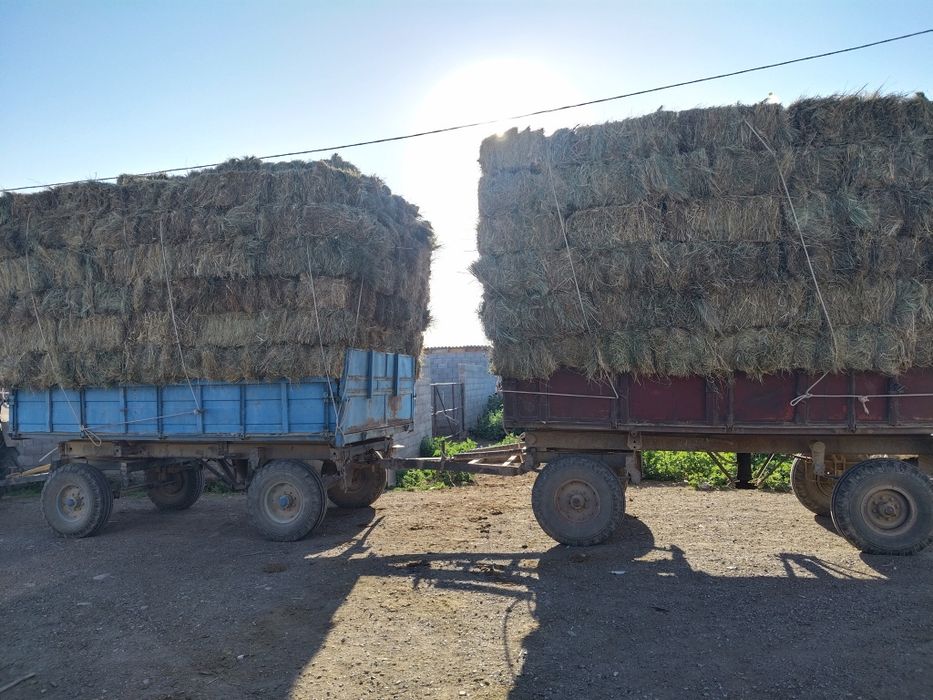Сено разнотравье