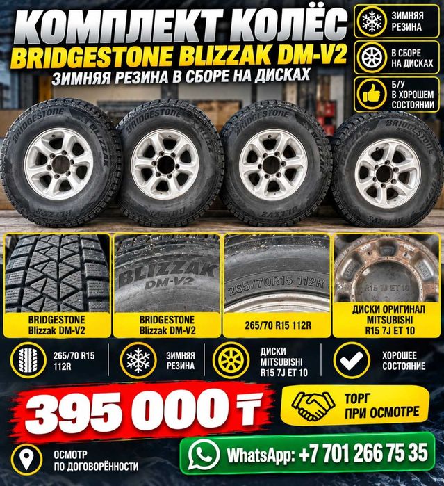 Bridgestone BLIZZAK DMV2