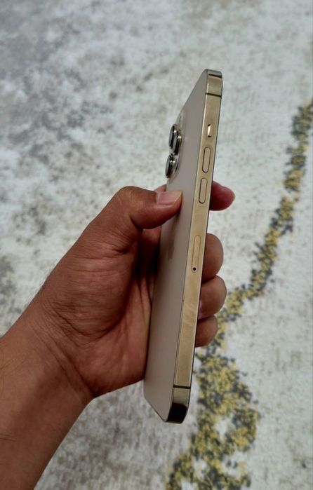iPhone 12 Pro Max / 256 GB