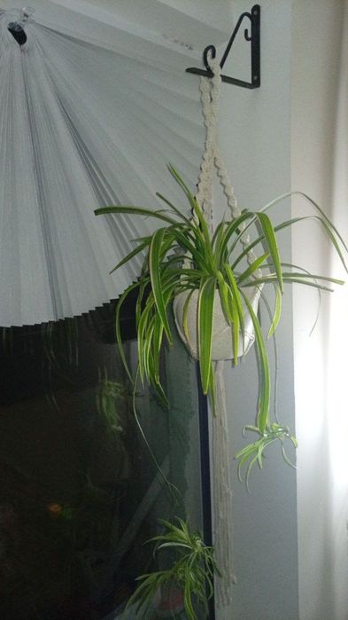 Ручная работа из макраме