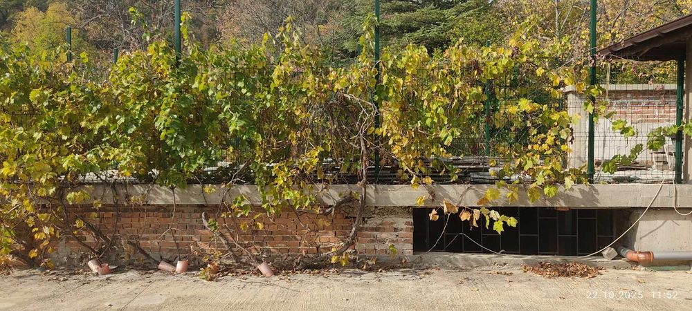 Дава се под наем Етаж от къща в София, Люлин 9 - 65 кв.м за 280.5 € - Снимка #4