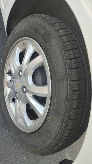 Spark optimum+ tozza 2019