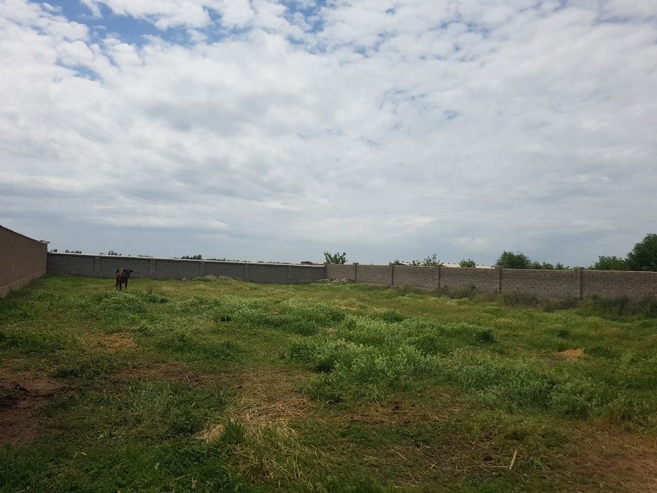 25000 $ келишамиз хамма хужжати жойида