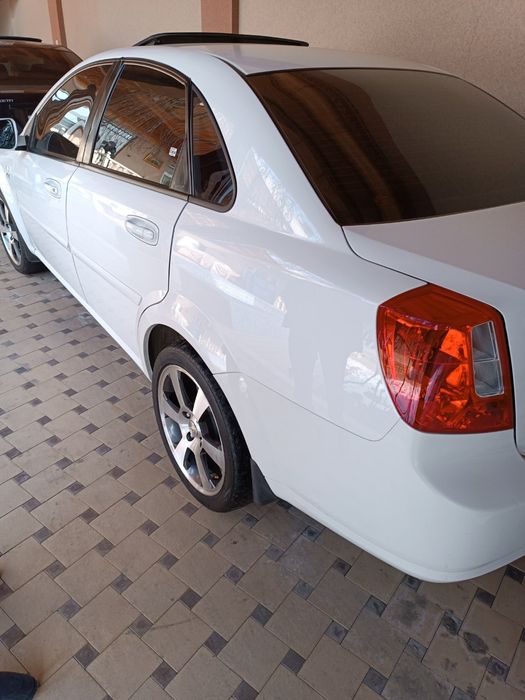 Sakadiska R17 Jentira