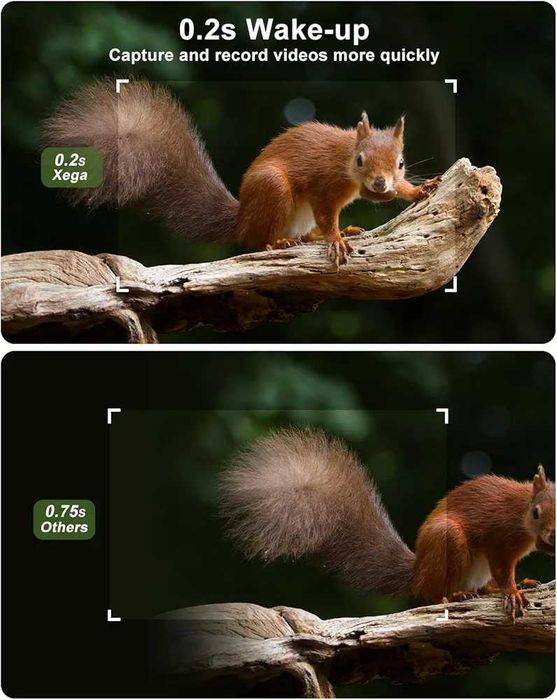 Автономен 4G Фотокапан за хранилки и ловни стопанства