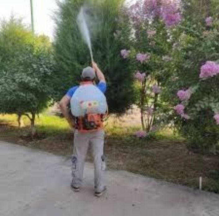 Дезинфекция домов, квартир.