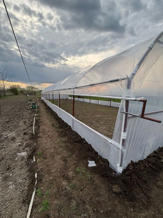 Sere si solarii de gradina pentru legume sau flori pret accesibil calitate superioara