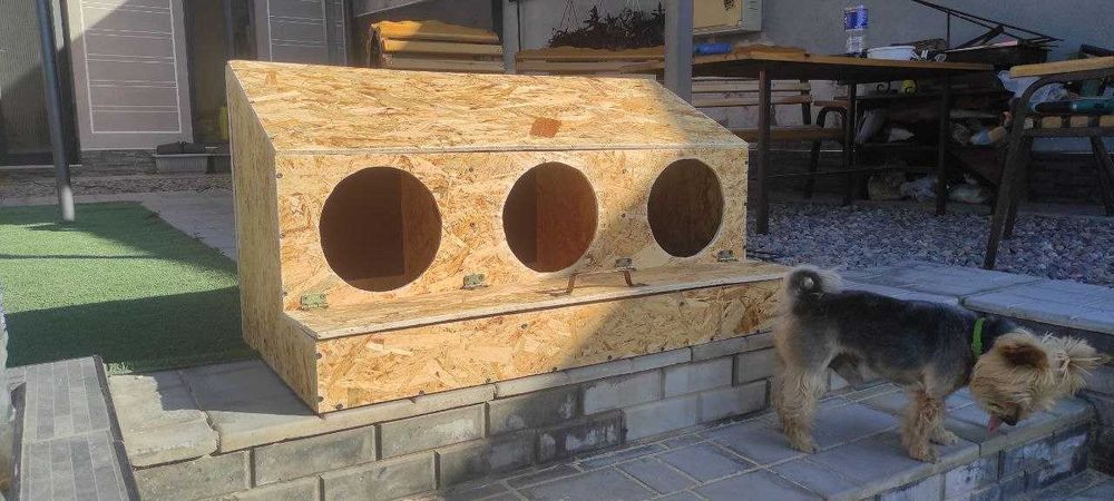 Гнездо для трёх кур-несушек – максимально высокий урожай яиц!