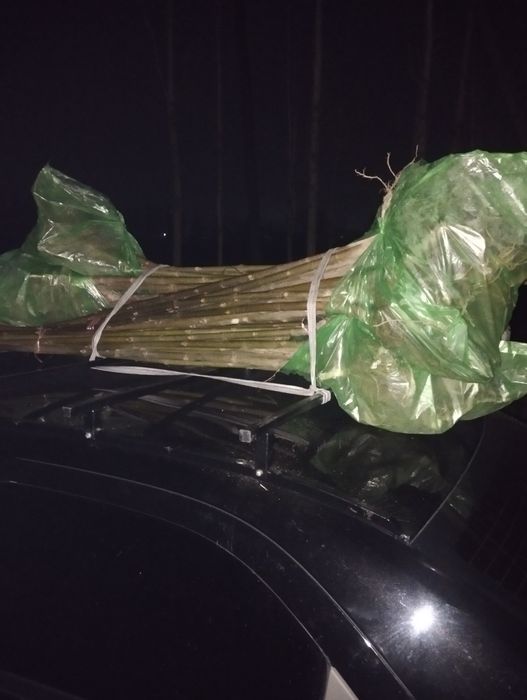 Енг арзони ва сифатлиси бизда..танлов у́з ку́лингизда