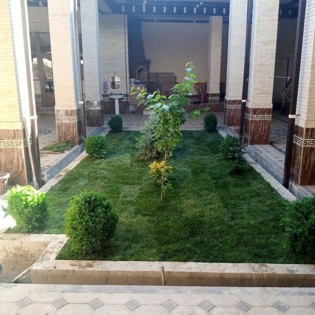 Archalar dekarativni daraxlar mevali daraxlar