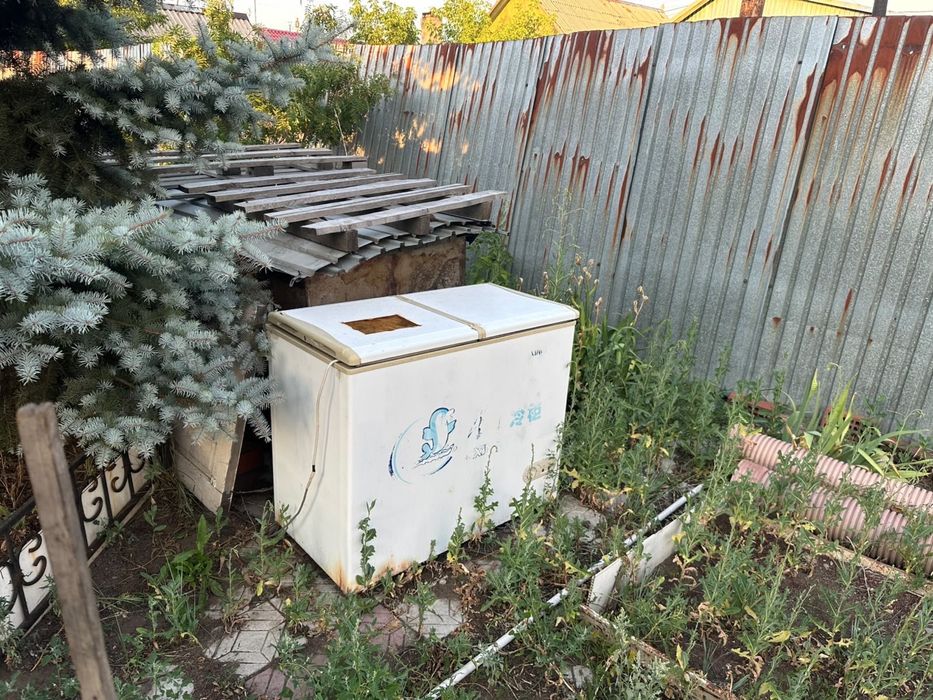 Отдам бесплатно