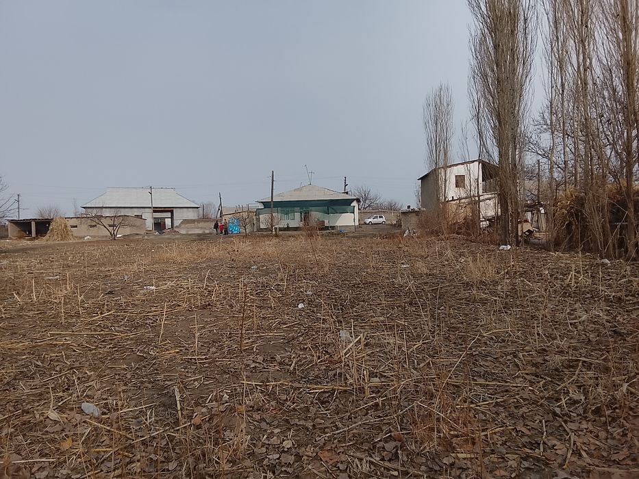 25 сотихли котта ховлимиза сотуга сикти