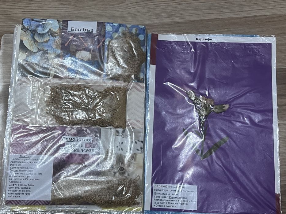 Хербарий 7 клас по Биология