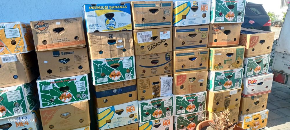 Marfă piată 43 cutii de banane