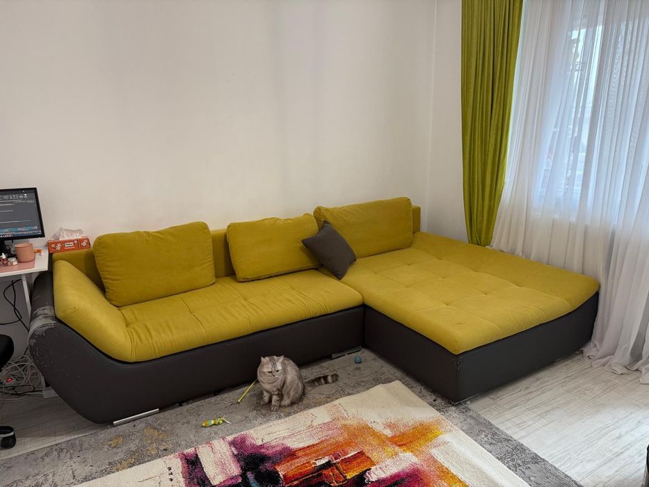 Mobila si Gradina