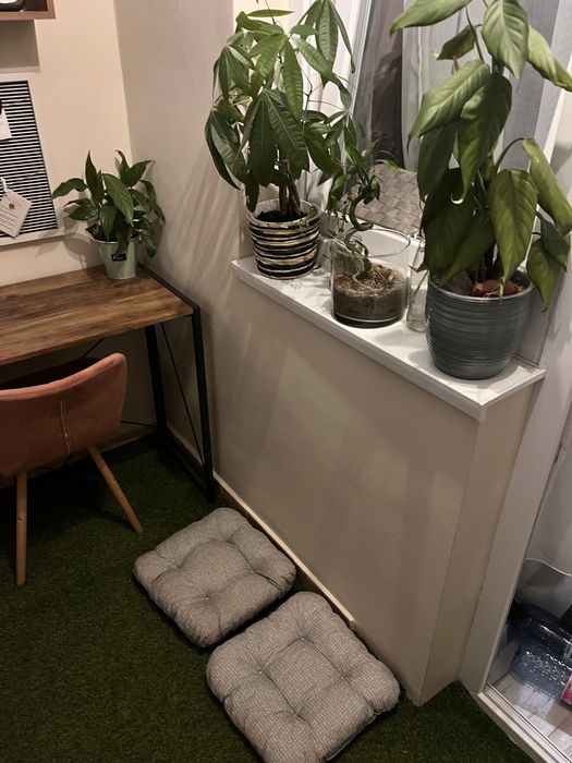 Apartament complet renovat,  Iosia