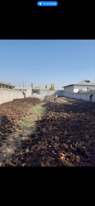 Biogumus barcha turdagi o’simliklar uchun tabiy og’it