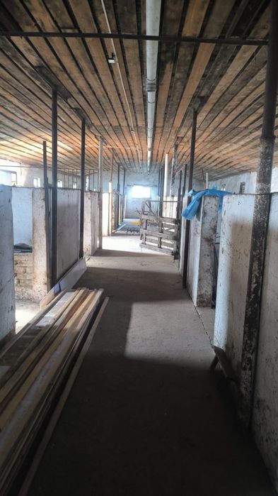 Продается ЛПХ с базой и теплицами.