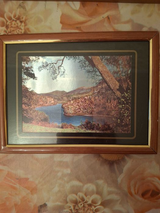 Картины в рамке новые