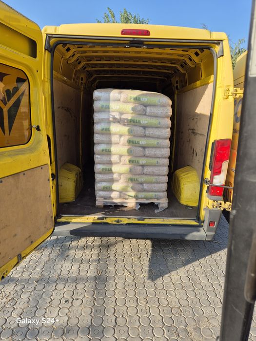 Peleti Pellup rasinoase