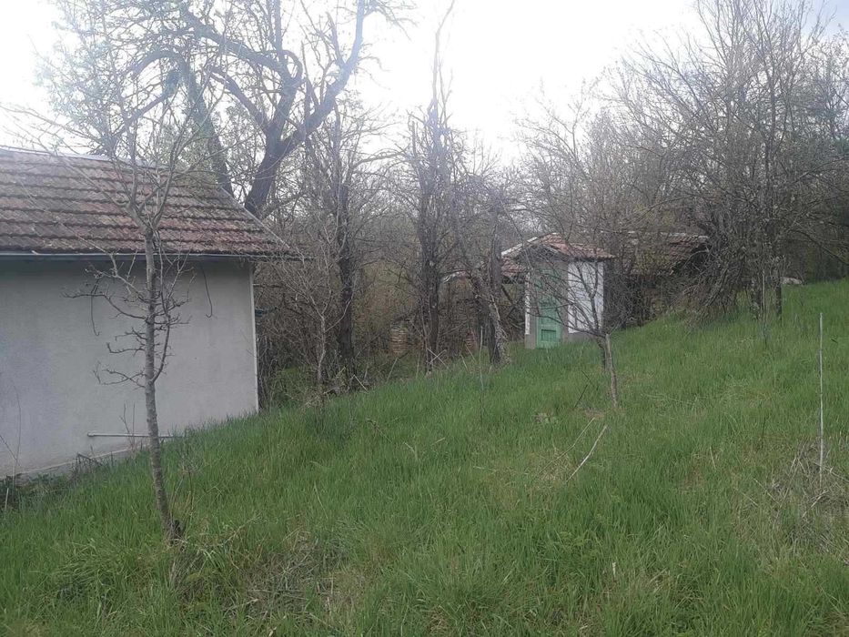Къща в село Войнежа