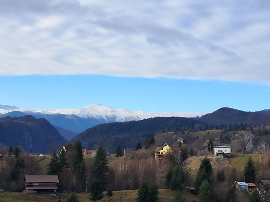 teren la munte Rucar-Moeciu-Bran