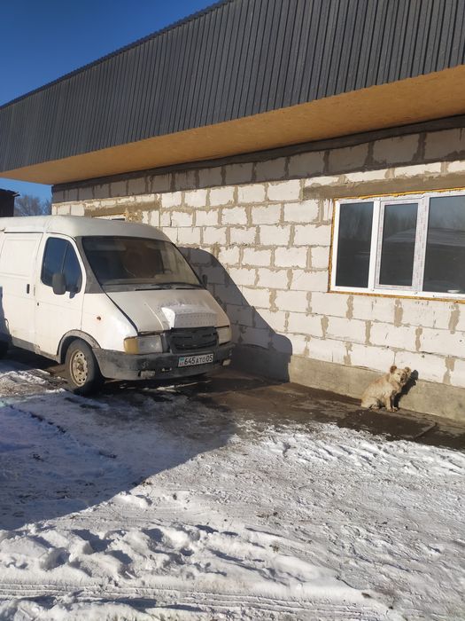 Соболь (газель в хорошем состоянии)