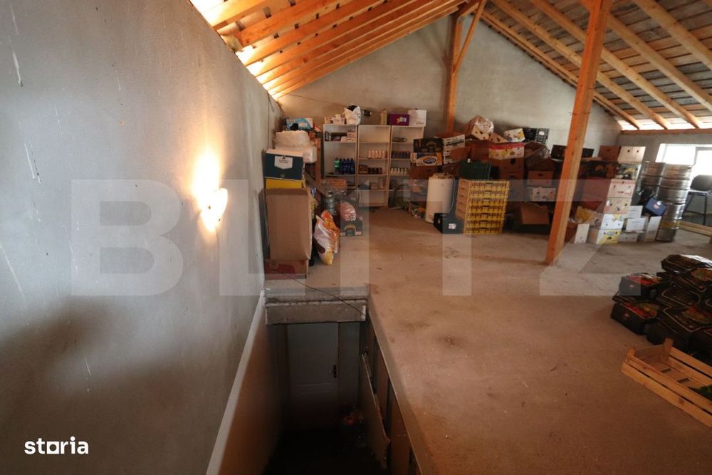 Spatiu comercial + teren, 163 mp utili, 983 mp, Matasaru/Poroinica