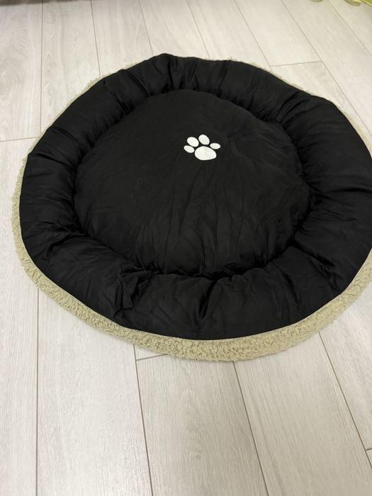 Кучешко легло.  .