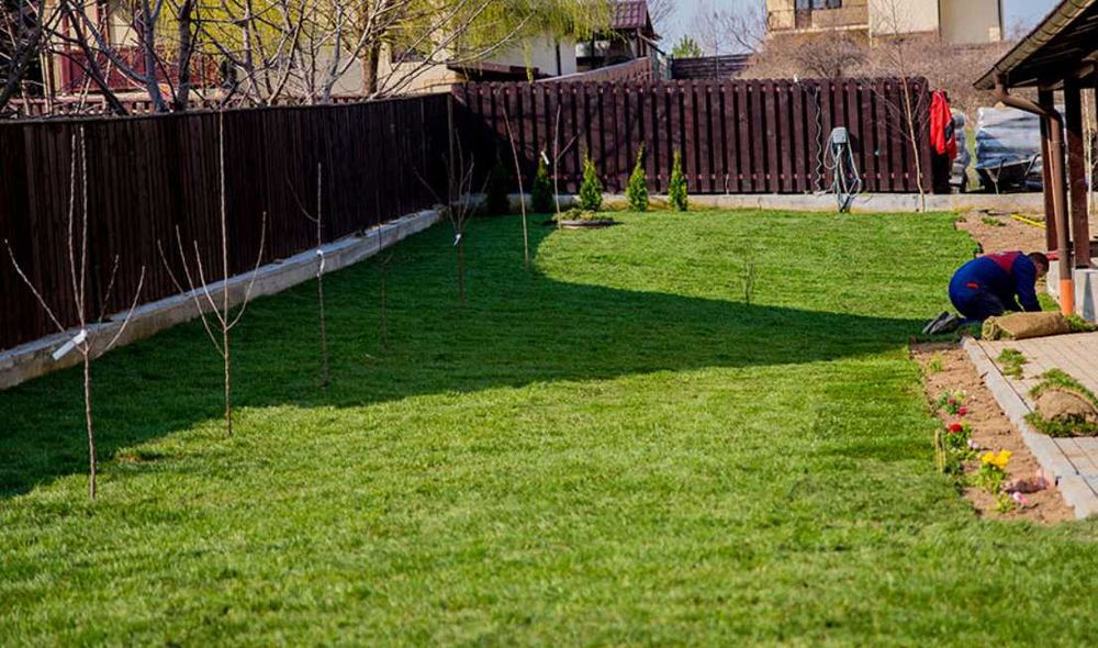 Gazon Natural pentru Gradina - Amenajare Completa