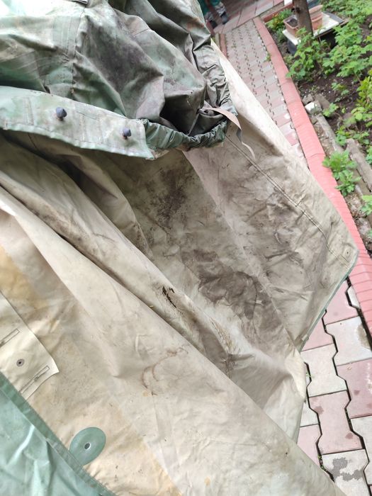 Дождевик военный