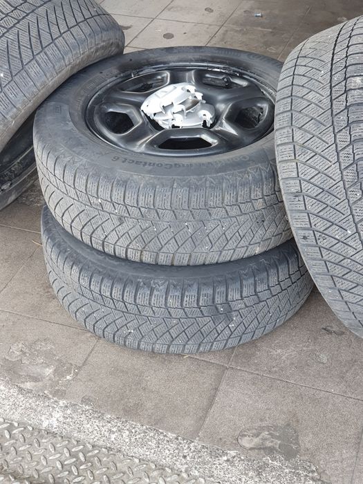 Roti Dusster/16iarna