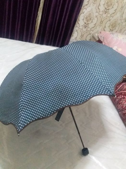 Zo'ntik yomgirli kunlarga