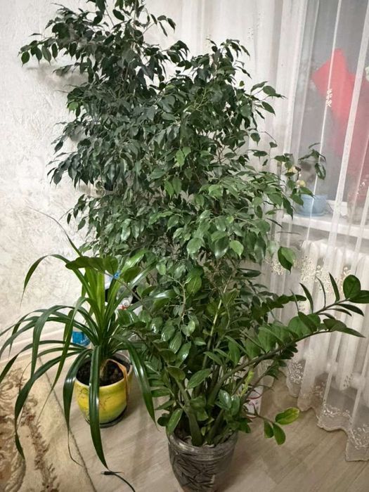 Продам все по мелочи